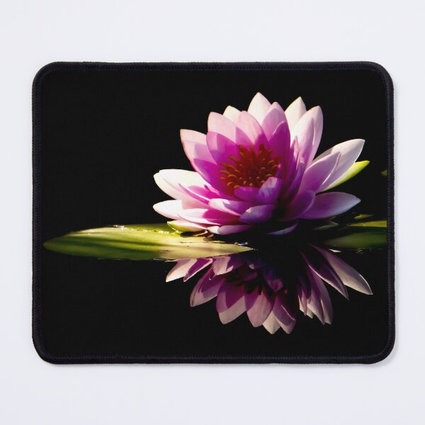 Item preview, A Blooming Water Lily Reflected in Water designed and sold by MajikFlower.