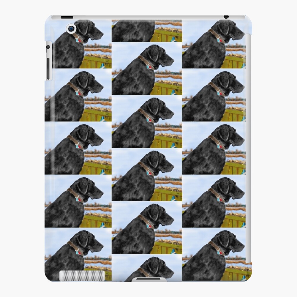Black Labrador Retriever on the Pond iPad Case & Skin