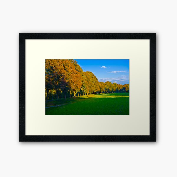 Sidelite Sunset Framed Art Print