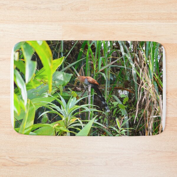 Item preview, Squirrel Cuckoo Panama Bird Photography designed and sold by Alvaro-Miranda.