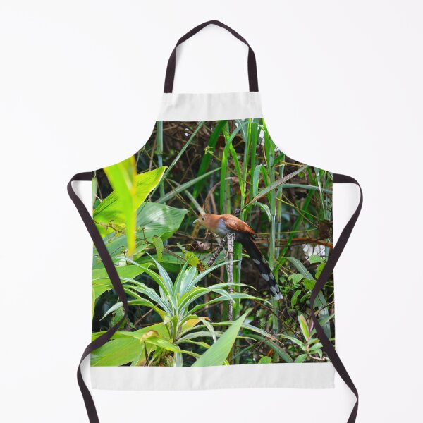 Item preview, Squirrel Cuckoo Panama Bird Photography designed and sold by Alvaro-Miranda.