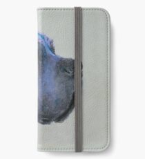 Zoe iPhone Wallet/Case/Skin