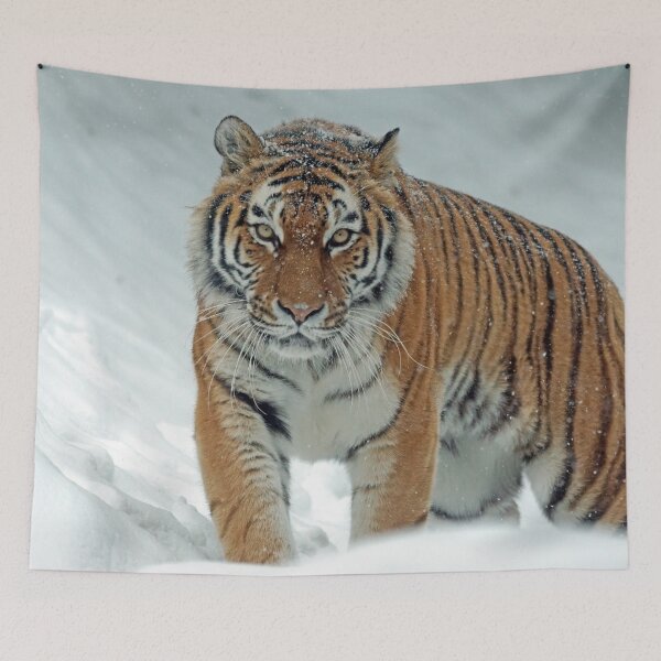 Item preview, The Amur Tiger designed and sold by Mikhail Zhirnov.