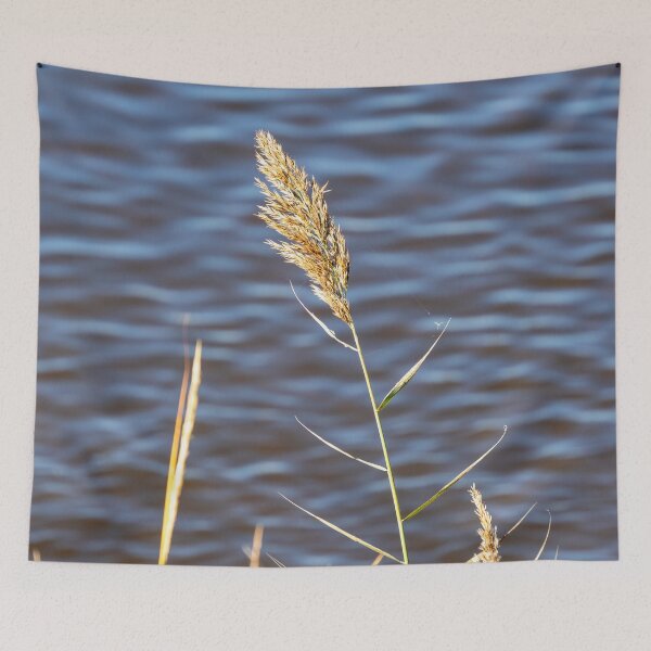 Item preview, Reed in the Wind designed and sold by TinyDinoDesigns.