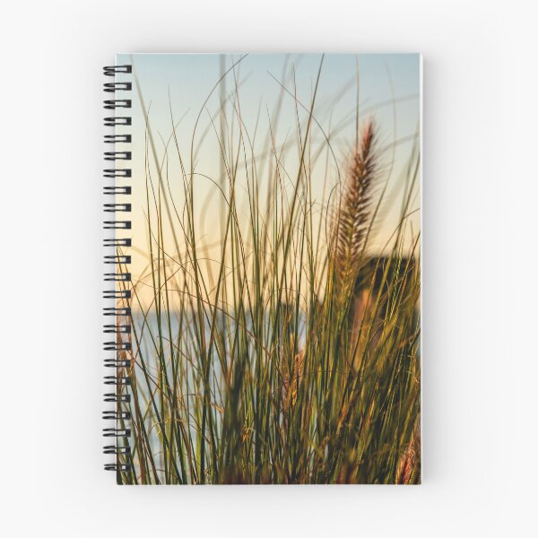 Item preview, Beach Grass at Sunset designed and sold by Frank Parisi.