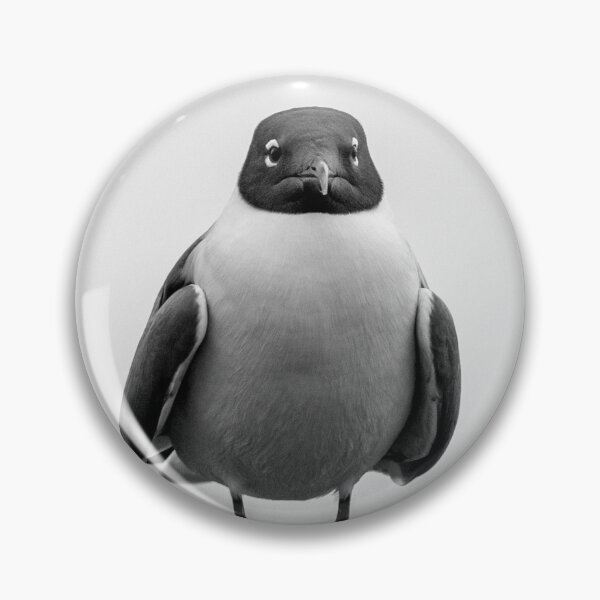 Item preview, Grumpy Gull designed and sold by Frank Parisi.