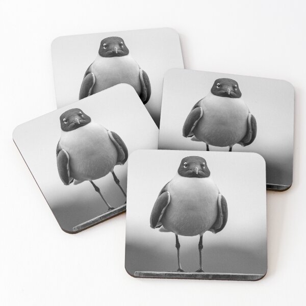 Item preview, Grumpy Gull designed and sold by Frank Parisi.