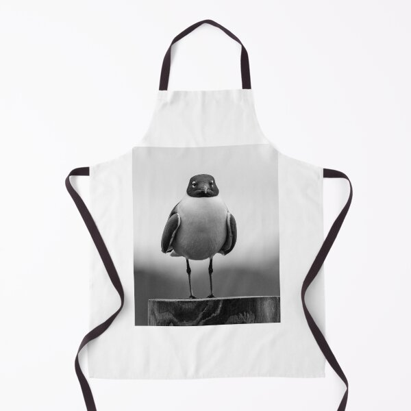 Item preview, Grumpy Gull designed and sold by Frank Parisi.