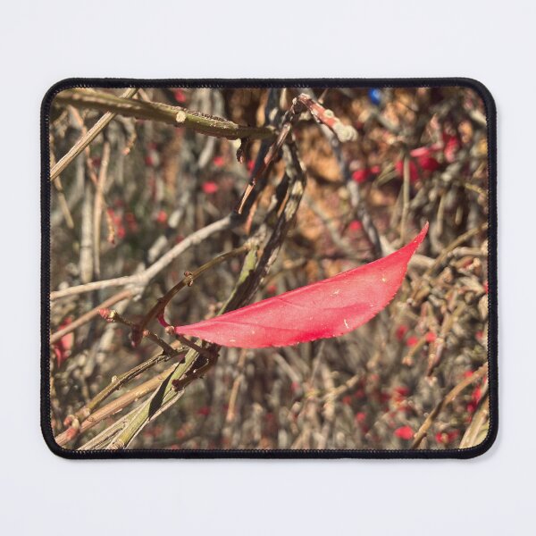 Item preview, Hanging On  designed and sold by Amanda1775.