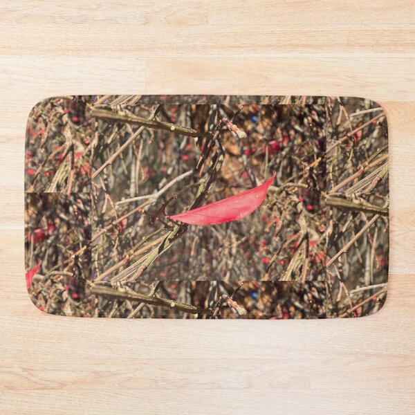 Item preview, Hanging On  designed and sold by Amanda1775.