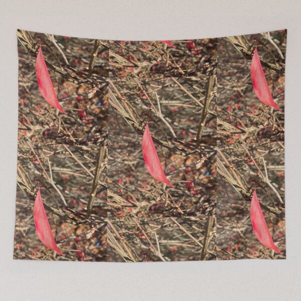 Item preview, Hanging On  designed and sold by Amanda1775.