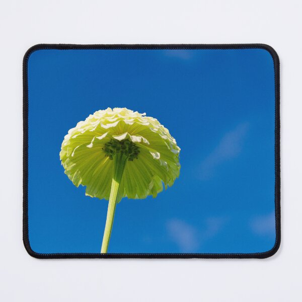 Item preview, Zinnia Elegans Envy designed and sold by Pix4Japan.