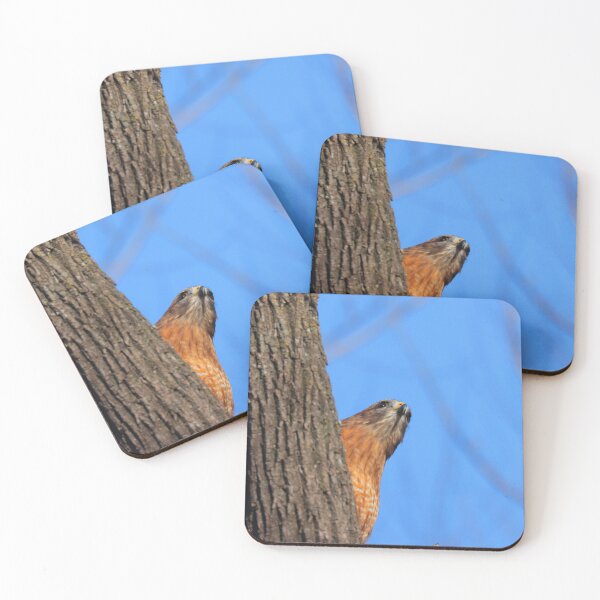 Item preview, Red-shouldered Hawk designed and sold by Parks and X.
