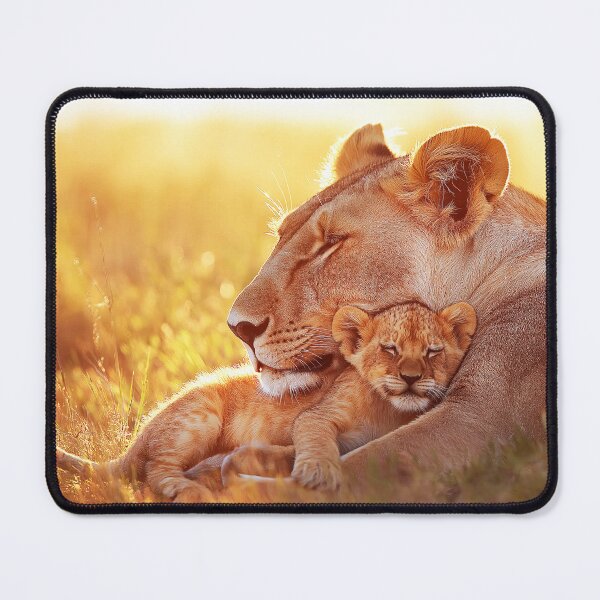 Item preview, An African lioness cuddling with lion cub at sunrise - Wildlife photo designed and sold by TheArtistOf2022.