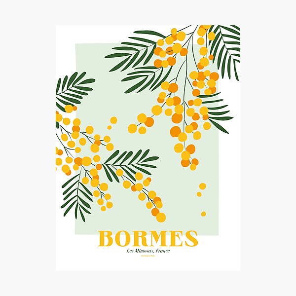 Item preview, poster illustration Bormes les mimosas, var, french riviera designed and sold by manonpradier.