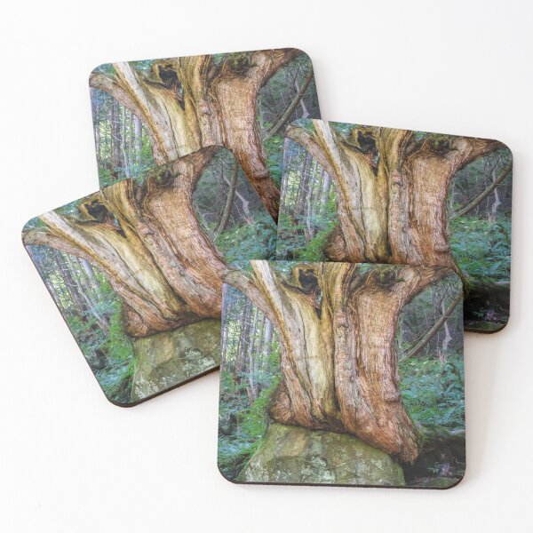 Item preview, Twisted Trunk on Volcanic Boulder designed and sold by Pix4Japan.