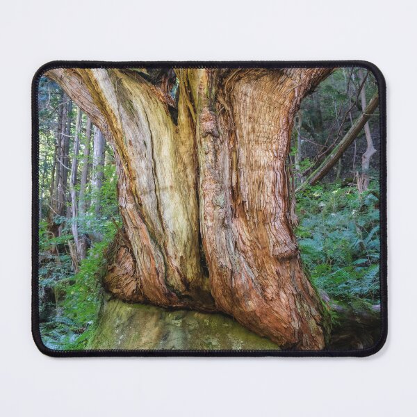 Item preview, Twisted Trunk on Volcanic Boulder designed and sold by Pix4Japan.