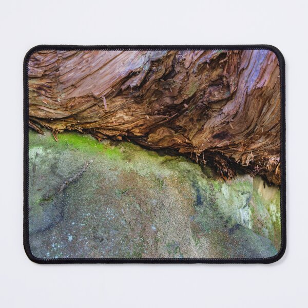 Item preview, Twisted Trunk on Volcanic Boulder designed and sold by Pix4Japan.