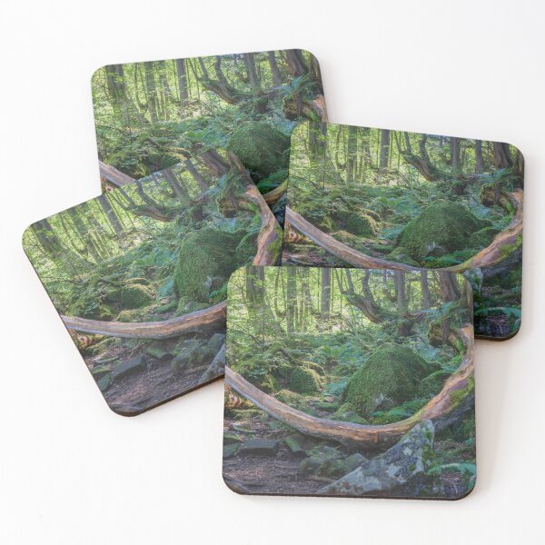 Item preview, Tateshina-Genseirin Primeval Forest designed and sold by Pix4Japan.