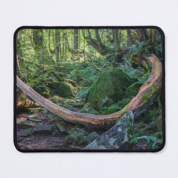 Item preview, Tateshina-Genseirin Primeval Forest designed and sold by Pix4Japan.