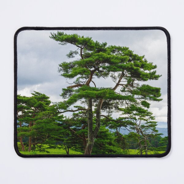 Item preview, Enduring Pines: Nature’s Sentinels at Makiba Park designed and sold by Pix4Japan.