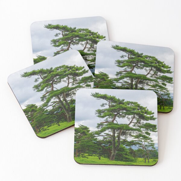 Item preview, Enduring Pines: Nature’s Sentinels at Makiba Park designed and sold by Pix4Japan.