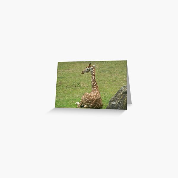Item preview, Giraffes 007 designed and sold by pasta26mc.