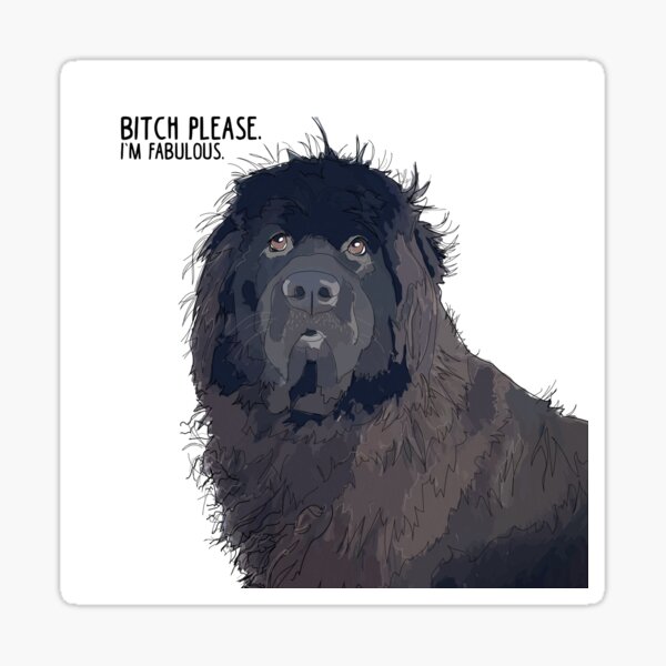 Bitch Please. I'm Fabulous. Newfie Dog. Sticker