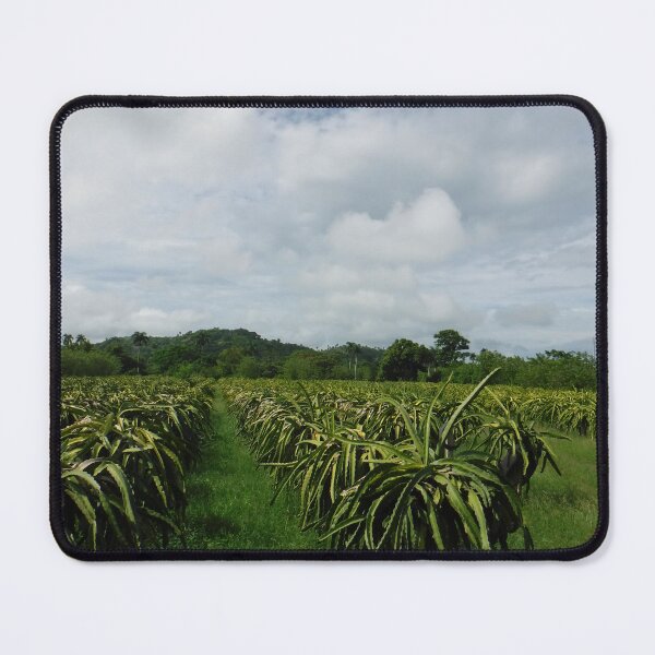 Item preview, Field designed and sold by GloriaGranat.