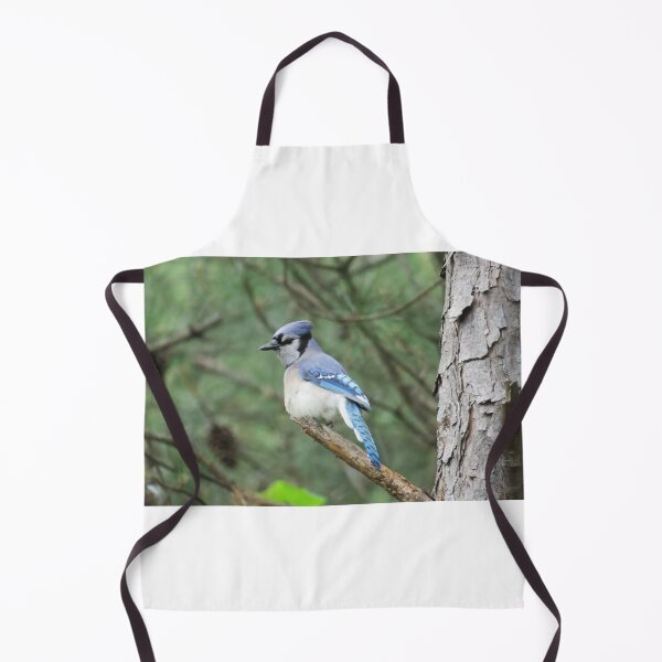 Item preview, Bluejay designed and sold by Larrysphotos.