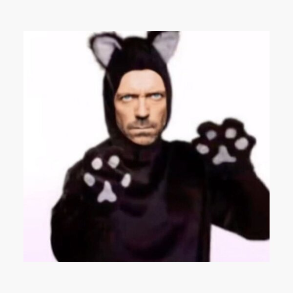 Item preview, Low Quality House Md Meme designed and sold by EarwigDesigns.