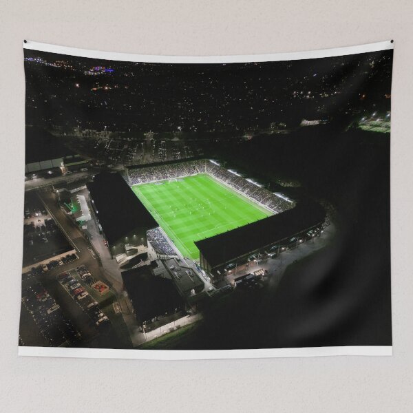 Item preview, Plymouth Argyle Football Club Stadium Home Park designed and sold by JayStoneUK.
