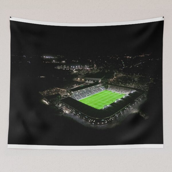 Item preview, Plymouth Argyle Football Club Home Park Stadium designed and sold by JayStoneUK.