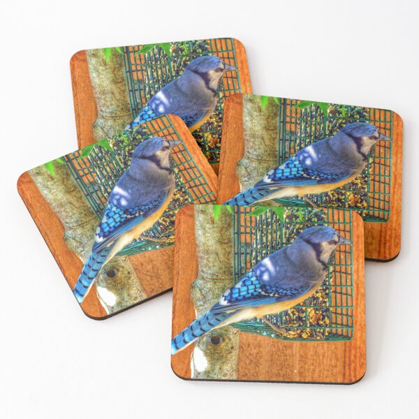 Item preview, Bluejay  designed and sold by Larrysphotos.