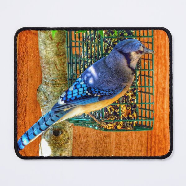 Item preview, Bluejay  designed and sold by Larrysphotos.
