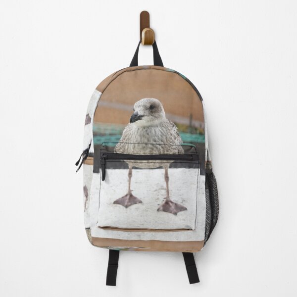 Item preview, Herring Gull Chick designed and sold by pinkal.
