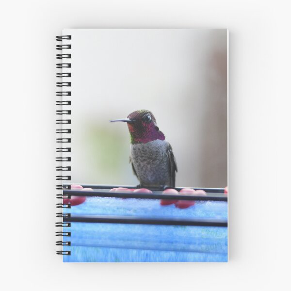 Item preview, Terrence the Hummingbird designed and sold by Werdnable.