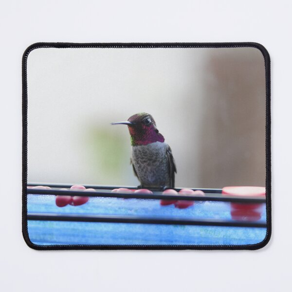 Item preview, Terrence the Hummingbird designed and sold by Werdnable.