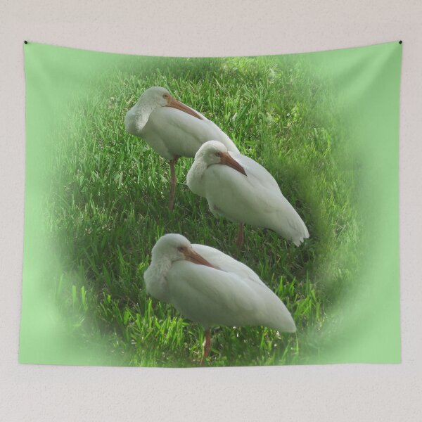Item preview, Ibis Trio In Naples, FL designed and sold by KVB Design.