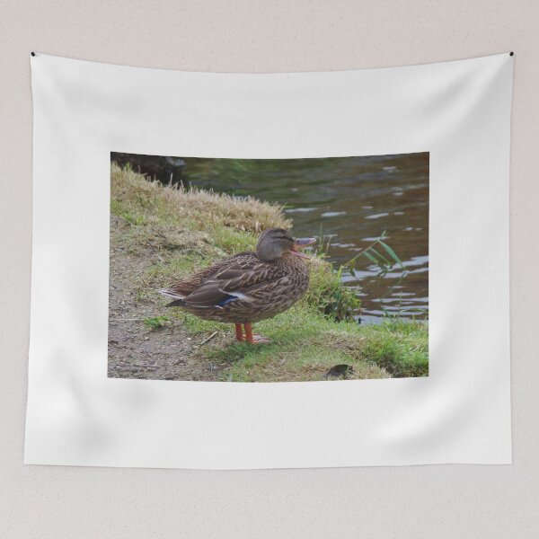 Item preview, Calling All Ducks !!  (Mallard) designed and sold by lezvee.