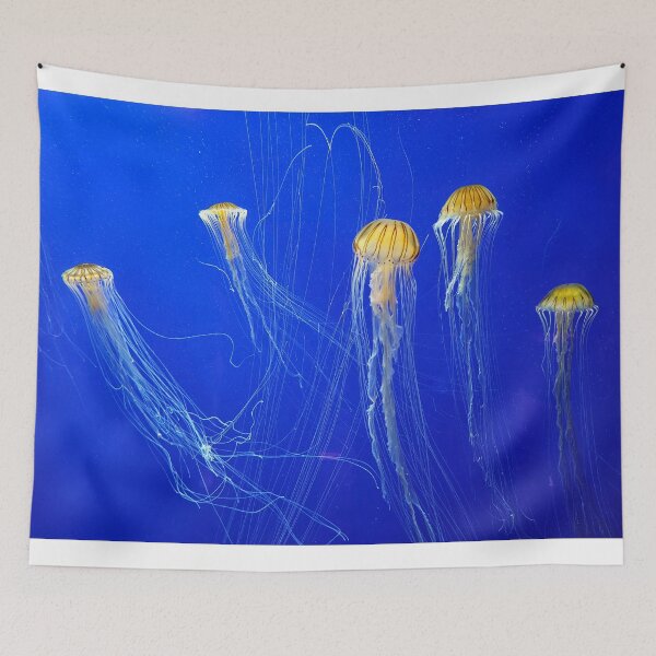 Item preview, Japanese Sea Nettle designed and sold by Alla Gill.