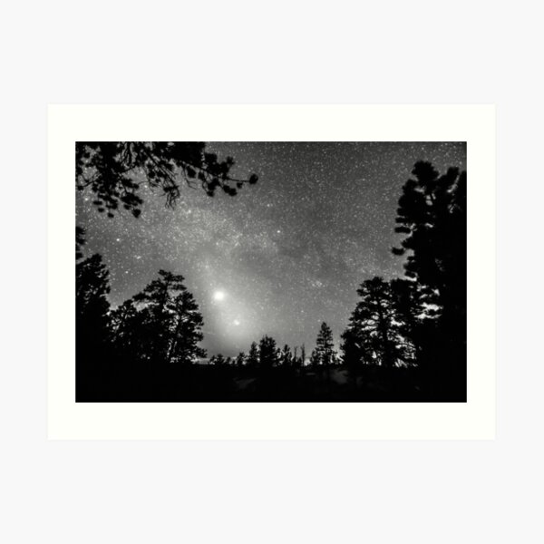 Forest Silhouettes Constellation Astronomy Gazing Art Print