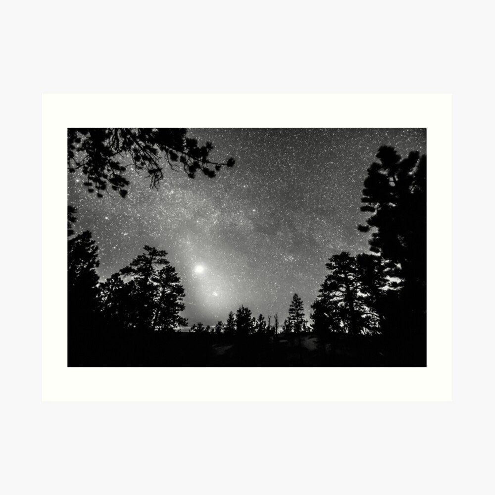 Forest Silhouettes Constellation Astronomy Gazing Art Print