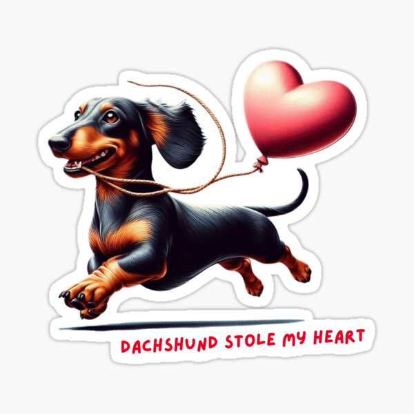 Item preview, Dachshund has stolen my heart - adorable design featuring a running dog with a balloon designed and sold by NovioStore.