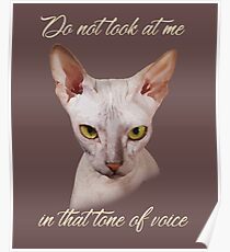 Darling Cat Kitten Art T-shirts and Gifts Poster