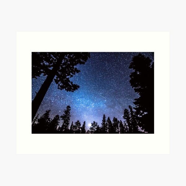 Item preview, Forest Star Gazing An Astronomy Delight designed and sold by Bo Insogna.