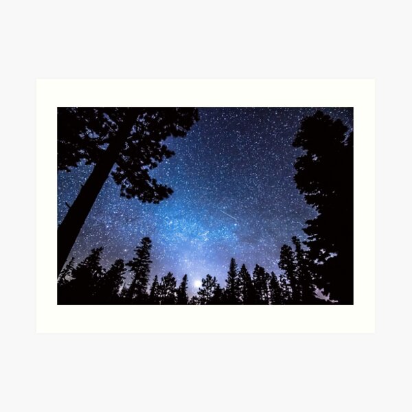 Forest Star Gazing An Astronomy Delight Art Print