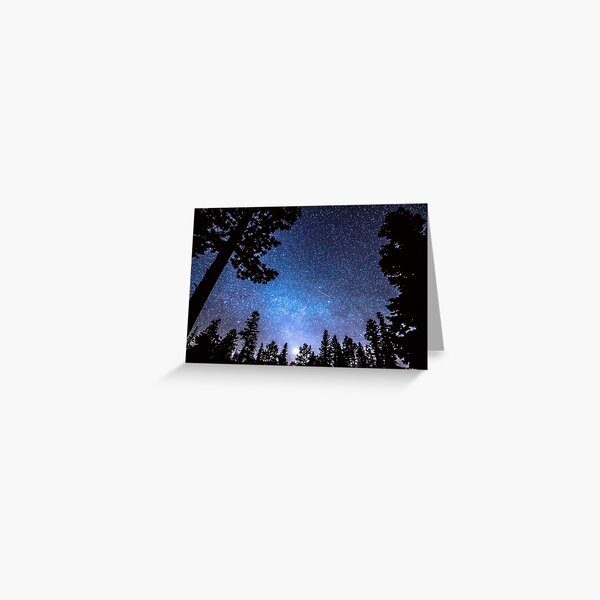 moonlight blue galaxy forest cat
