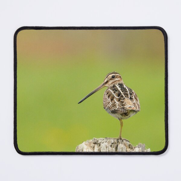Item preview, Wilson's Snipe designed and sold by GyrKiteTours.