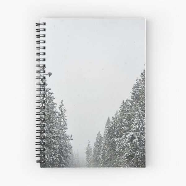 Artikelvorschau, Schneesturm am Lake Tahoe entworfen und verkauft von srcloudsplus.